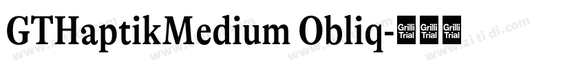 GTHaptikMedium Obliq字体转换
